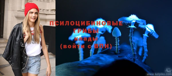 трава Арсеньев