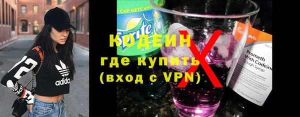 дурь Пересвет