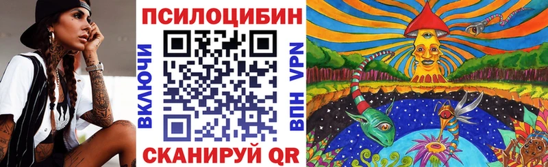 Галлюциногенные грибы Psilocybe  как найти закладки  Кирово-Чепецк 